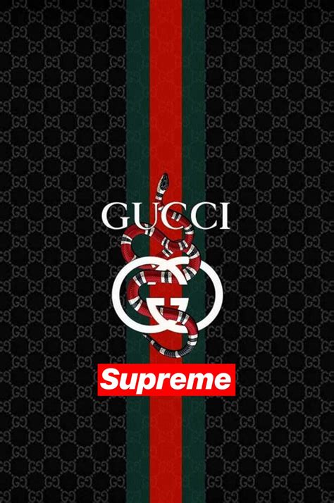 supreme gucci marchi simboli|gucci logo identification.